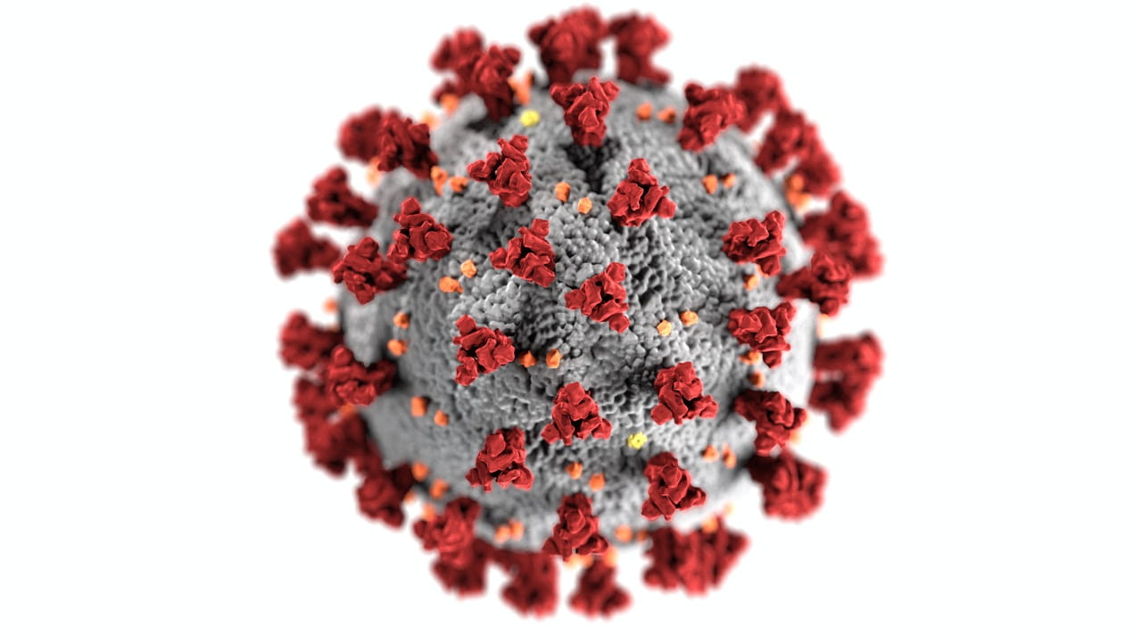 Qué es el Coronavirus: limpieza y desinfección