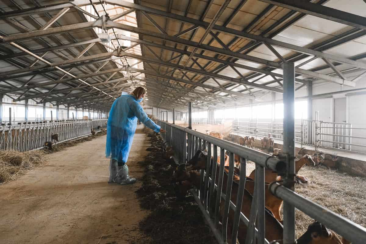 desinfección granjas bioseguridad animal y control ambiental Plagoo