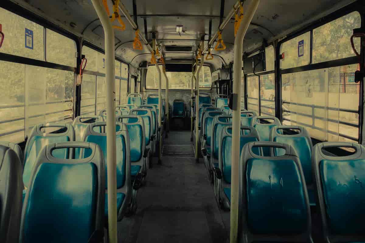 interior autobus chinches vehiculos transporte plagoo