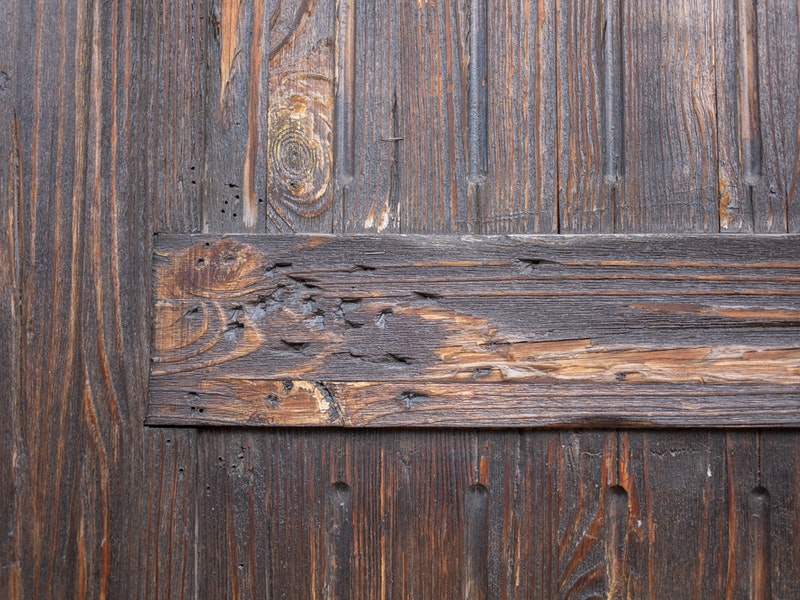 termitas madera muebles casa plagoo